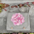 /album//559180957-3701741306796730-8872197535716704839-n-jpg/